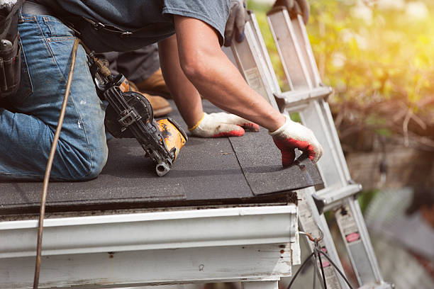 Best Roof Gutter Cleaning  in Macungie, PA